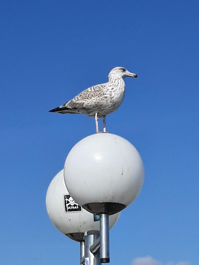 Penthouse Ferienwohnung Auszeit, Gerne Mit Hund, Wlan Inkl. Laboe Zewnętrze zdjęcie