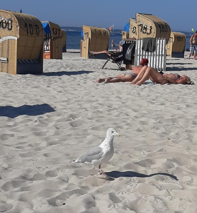 Penthouse Ferienwohnung Auszeit, Gerne Mit Hund, Wlan Inkl. Laboe Zewnętrze zdjęcie